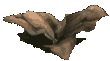 Kraut_t1.gif